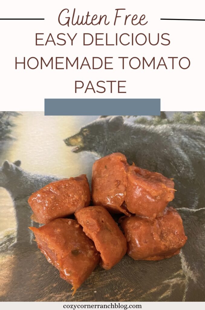 easy delicious tomato paste 